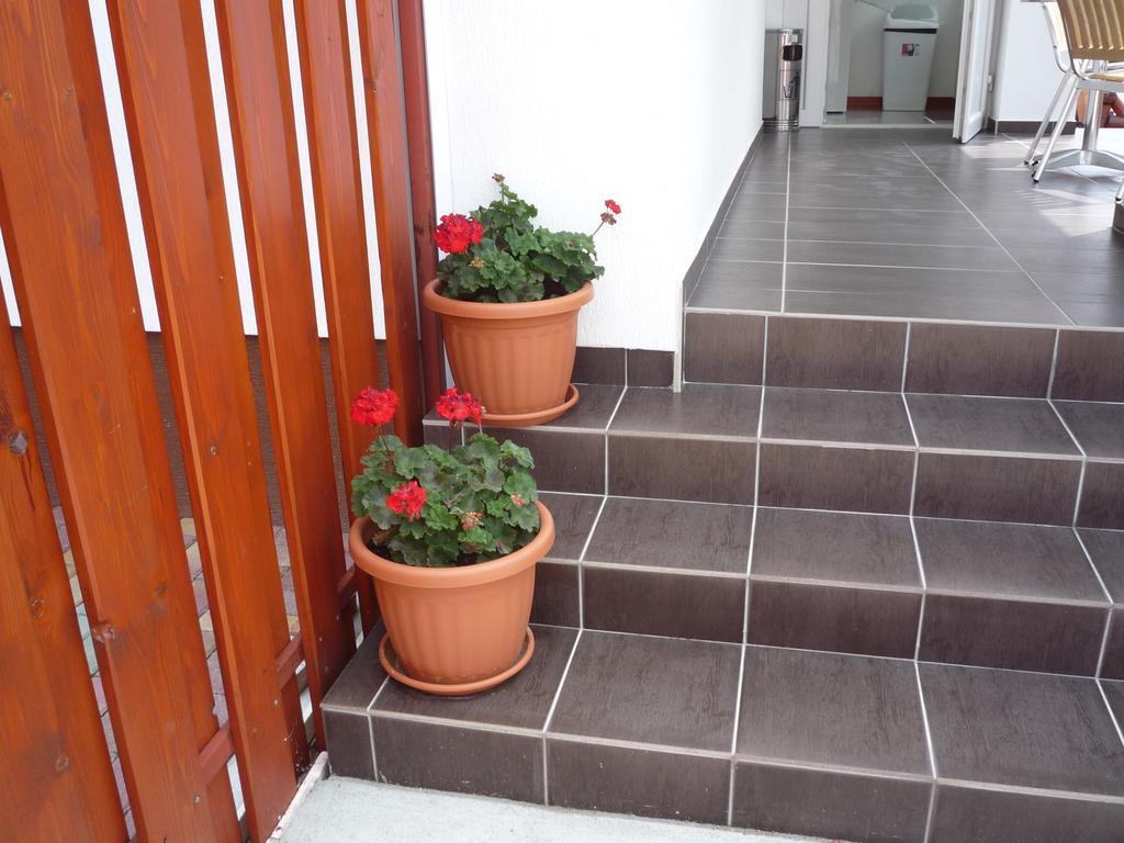 Morafeszek Vendeghaz Hotel Morahalom Ngoại thất bức ảnh